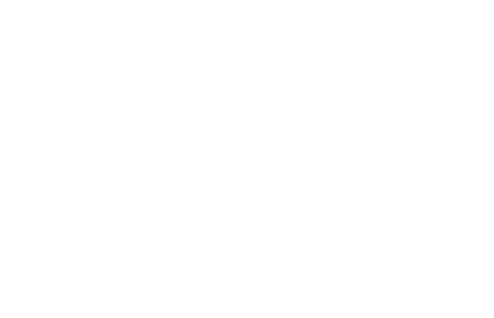 Moritz Brandes